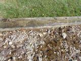 image of grave number 582947